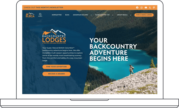 backcountrylodgesofbc.com