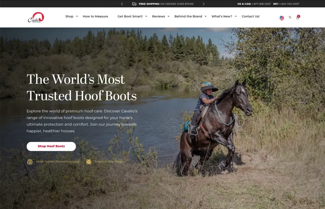 Cavallo Inc. website screenshot